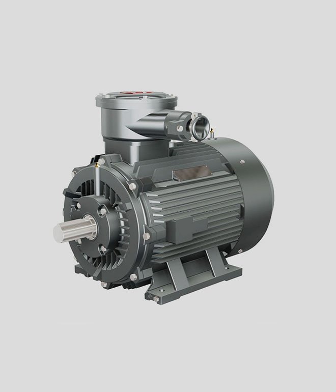 low-voltage composite explosion-proof three-phase asynchronous motor YBFBX