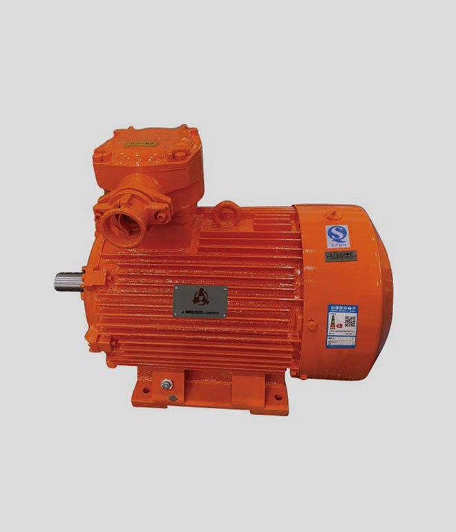 Flameproof three-phase asynchronous motor for low-voltage coal mine（YBK3）
