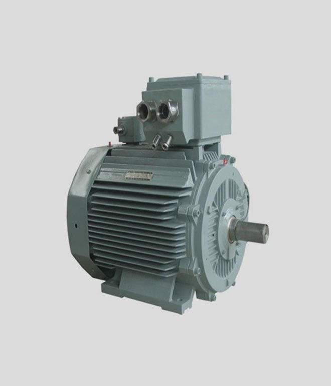 Low voltage ultra-high efficiency IE5 three-phase asynchronous motor (explosion-proof ybx5