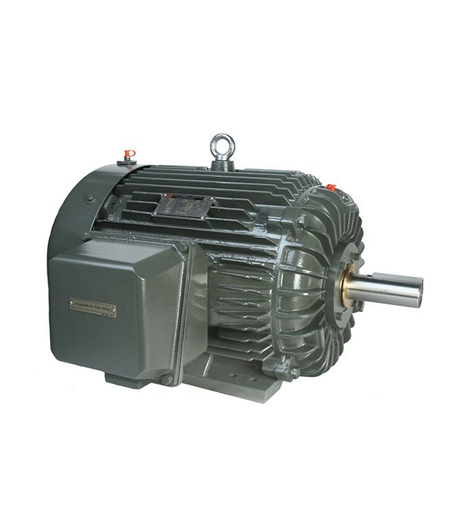 NEMA series non sparking three-phase asynchronous motor(NSHE)
