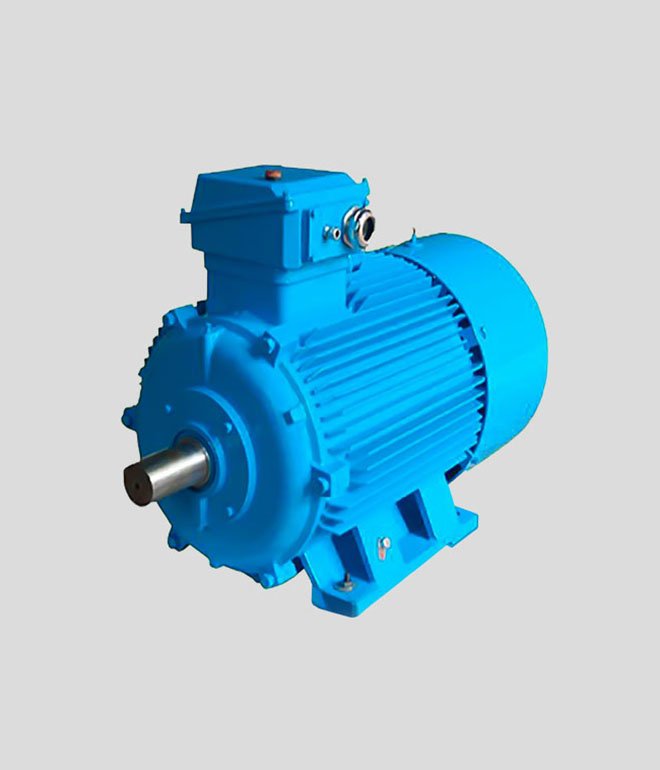 Low voltage three-phase asynchronous motor for nuclear power station