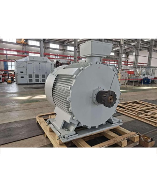Permanent magnet motor for belt conveyor